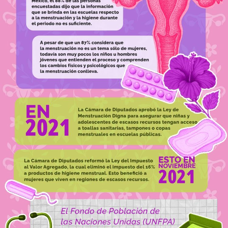 CInIG_Higiene menstrual_28mayo25