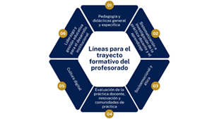 Líneas para el trayecto formativo del profesorado